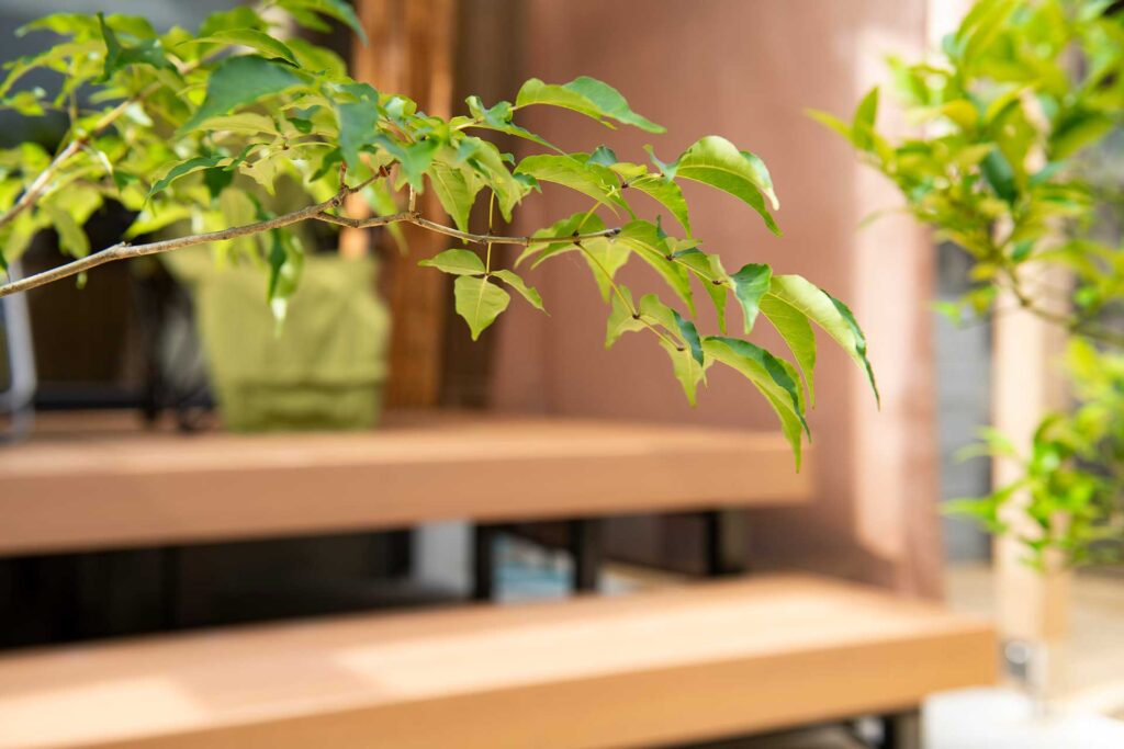 燃費の良い住宅イメージ